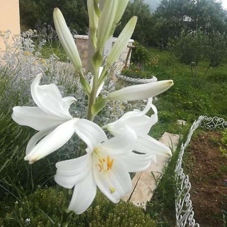 Castello Flower Apartment Kastela Exterior photo